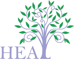 HEAL Wellness Center and Spa